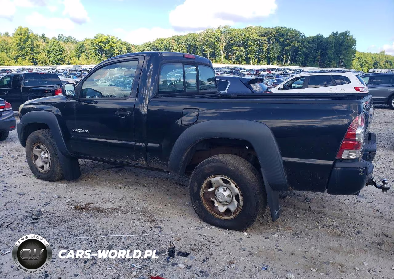 2009 Toyota Tacoma Base VIN:5TEPX42N29Z654442 - 2