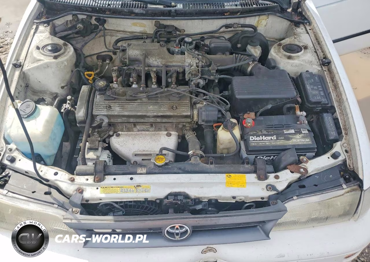 1995 Toyota Corolla Dx VIN:1NXAE09B7SZ305917 - 11