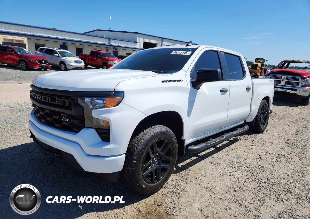 2024 Chevrolet Silverado K1500 Custom VIN:1GCPDBEK9RZ246921 - 1