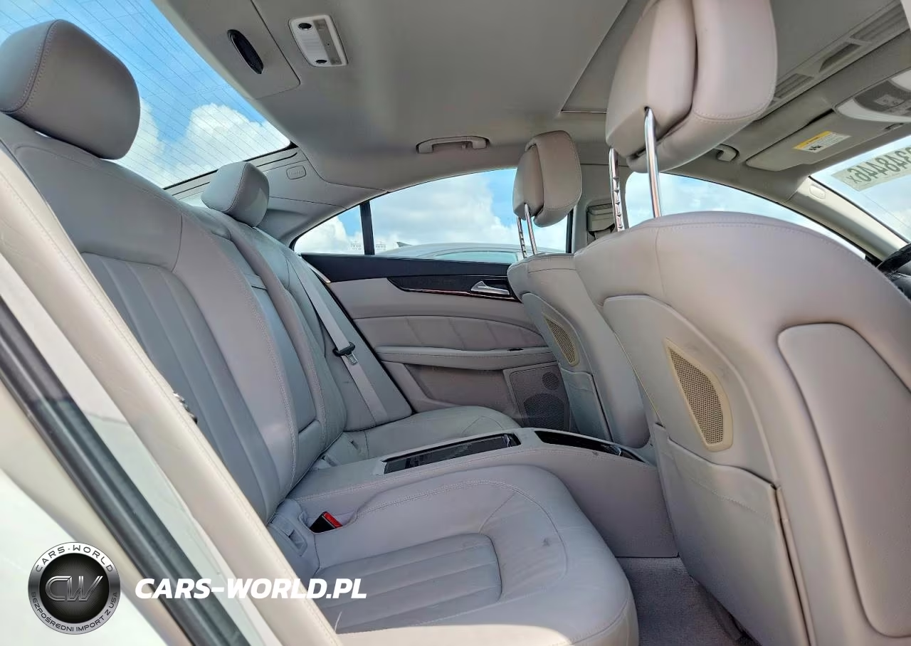 2013 Mercedes-Benz Cls 550 VIN:WDDLJ7DBXDA073316 - 10