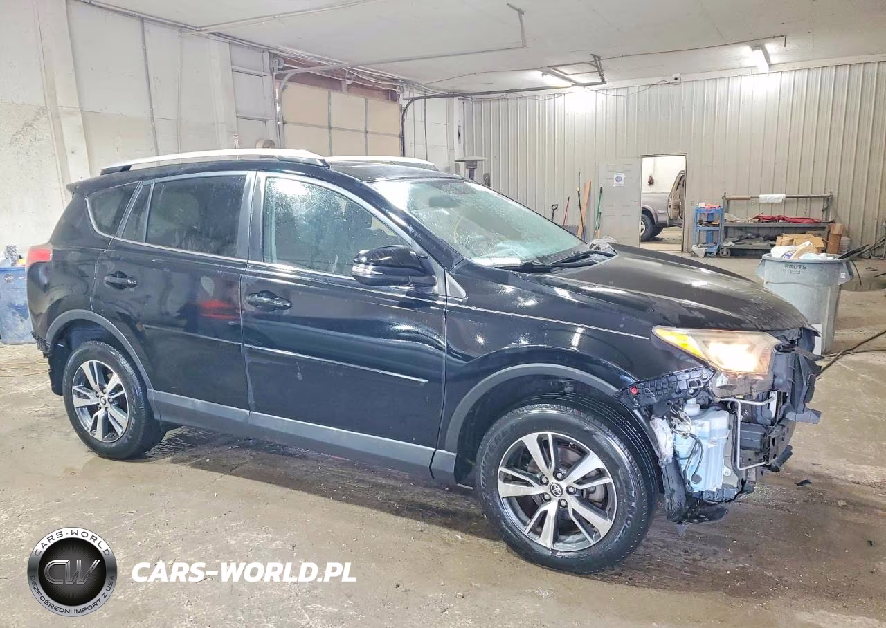 2016 Toyota Rav4 Xle VIN:2T3RFREV7GW503688 - 4