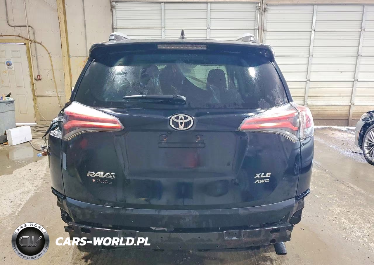 2016 Toyota Rav4 Xle VIN:2T3RFREV7GW503688 - 6