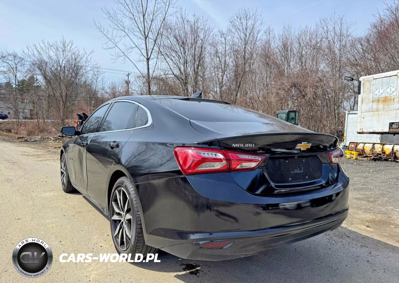2019 Chevrolet Malibu Lt VIN:1G1ZD5ST5KF135693 - 3