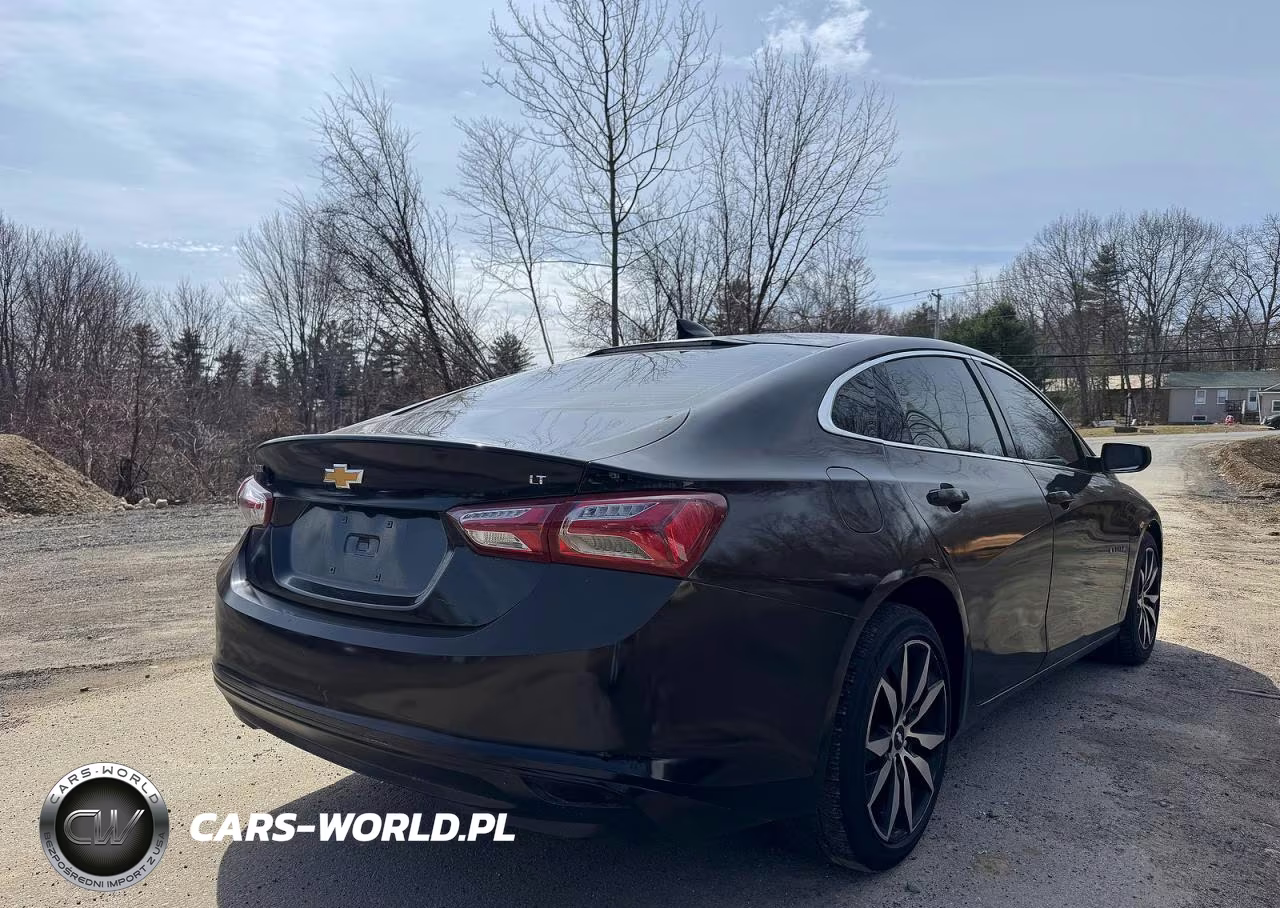 2019 Chevrolet Malibu Lt VIN:1G1ZD5ST5KF135693 - 4