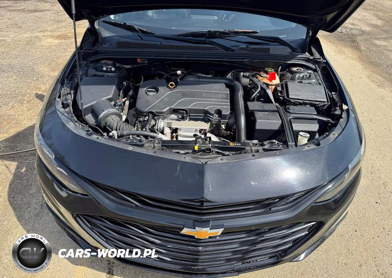 2019 Chevrolet Malibu Lt VIN:1G1ZD5ST5KF135693 - 7