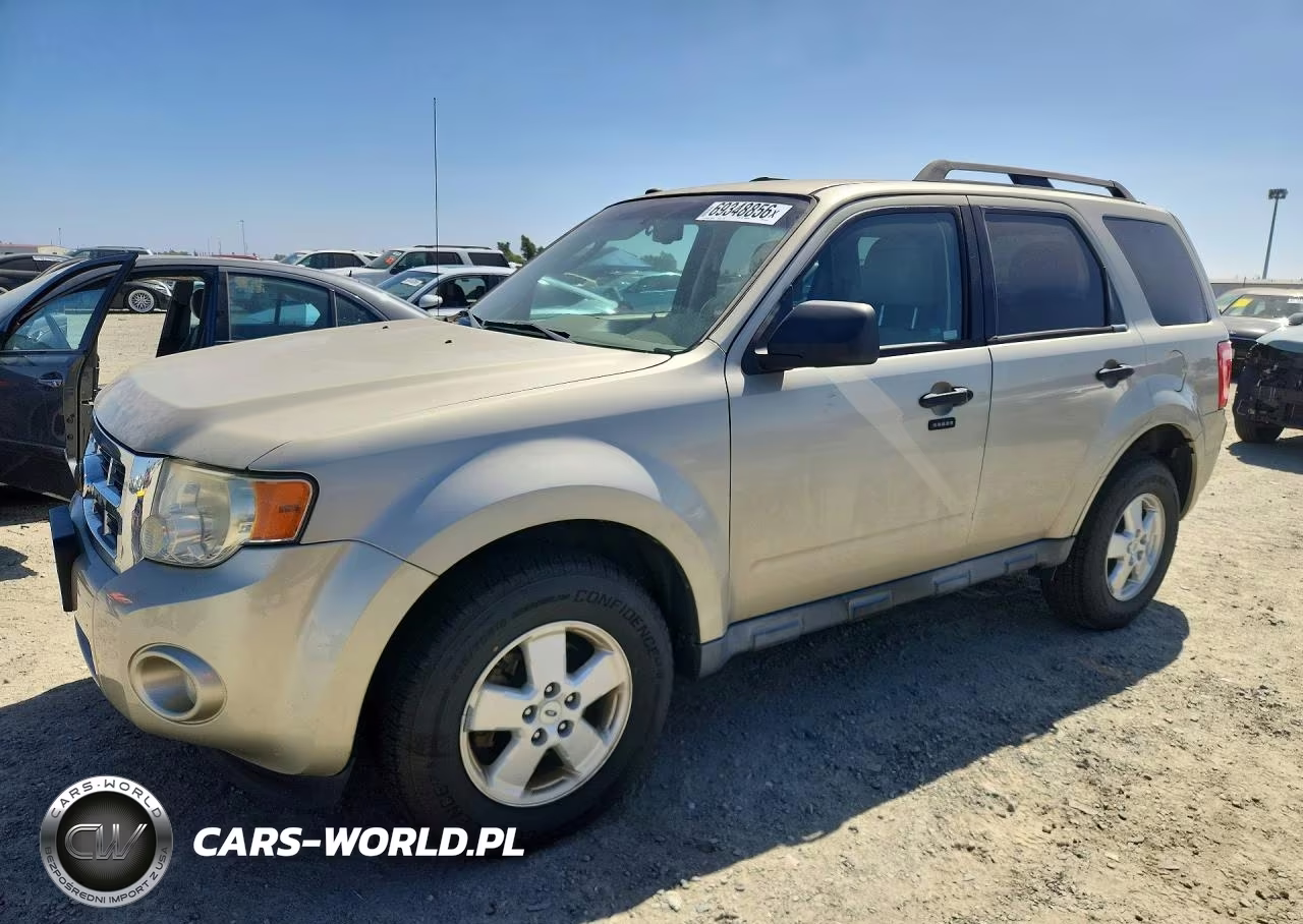 2010 Ford Escape Xlt