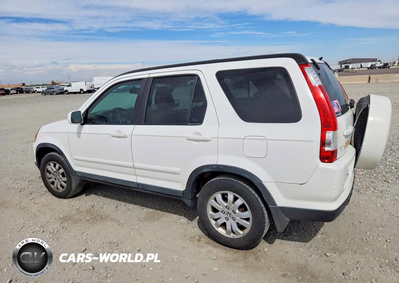 2005 Honda Cr-V Se VIN:SHSRD78955U320391 - 2