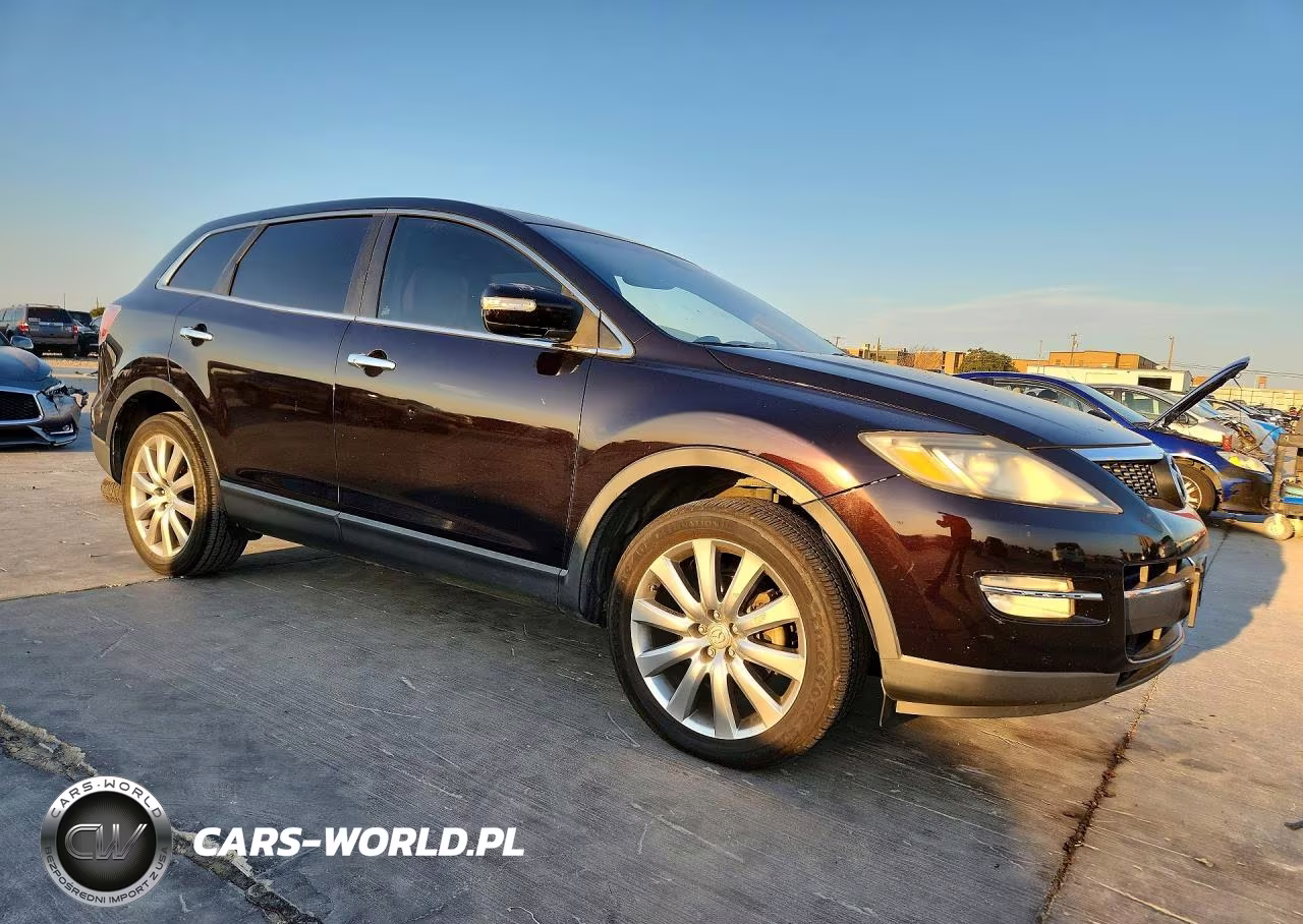 2009 Mazda Cx-9 VIN:JM3TB28A390174455 - 4