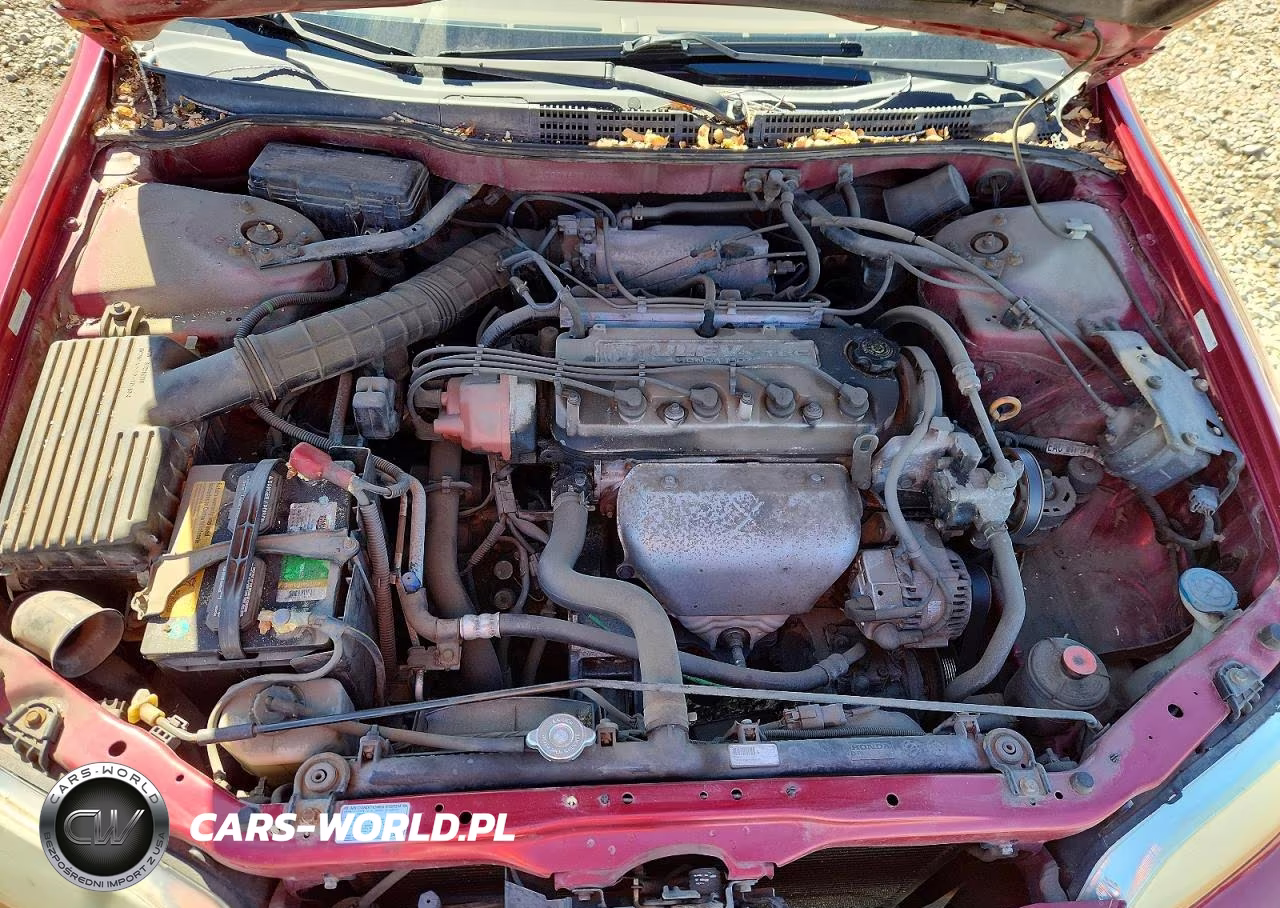 2002 Honda Accord Ex VIN:1HGCG66872A002397 - 11
