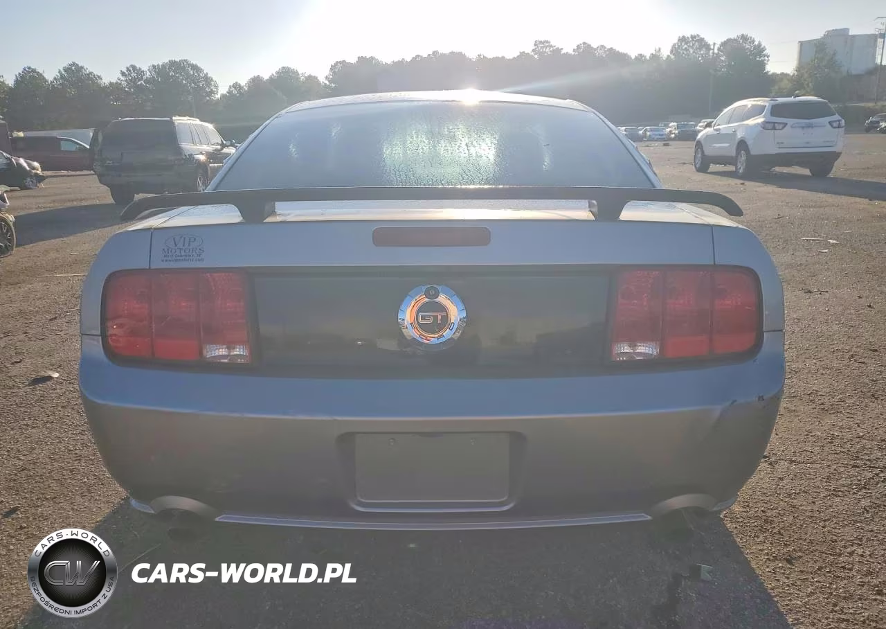 2008 Ford Mustang Gt VIN:1ZVHT82H385126022 - 6