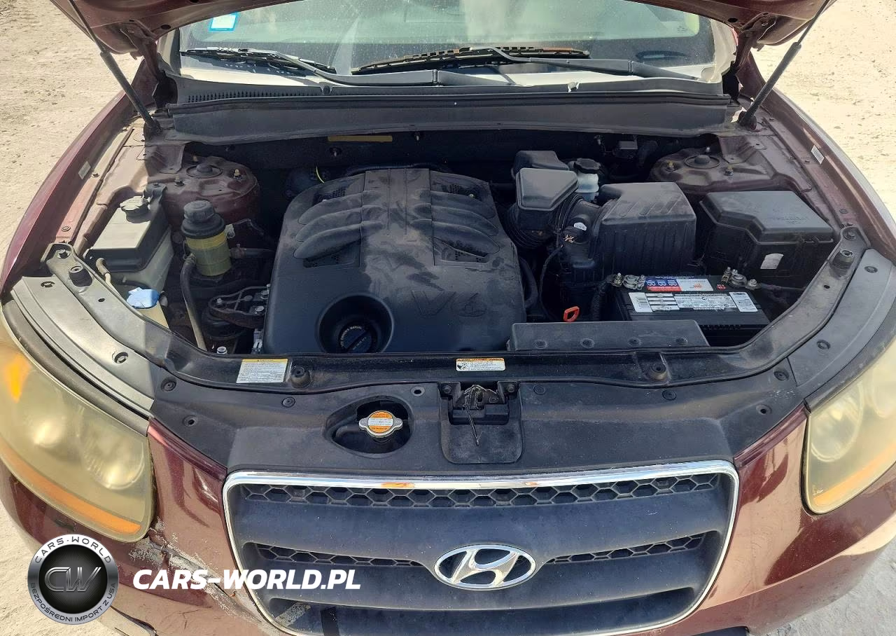 2009 Hyundai Santa Fe Se VIN:5NMSH73E09H295194 - 12
