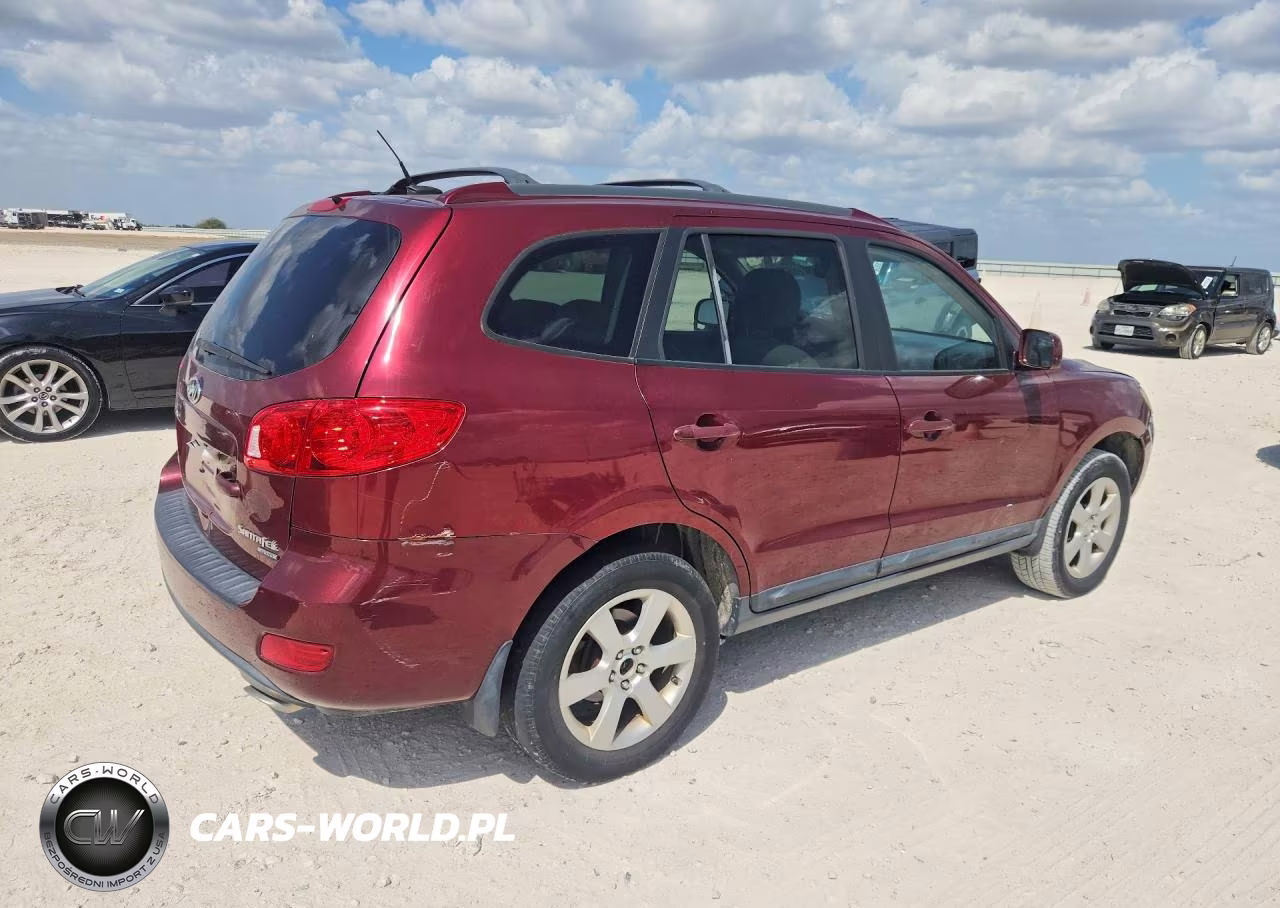 2009 Hyundai Santa Fe Se VIN:5NMSH73E09H295194 - 3