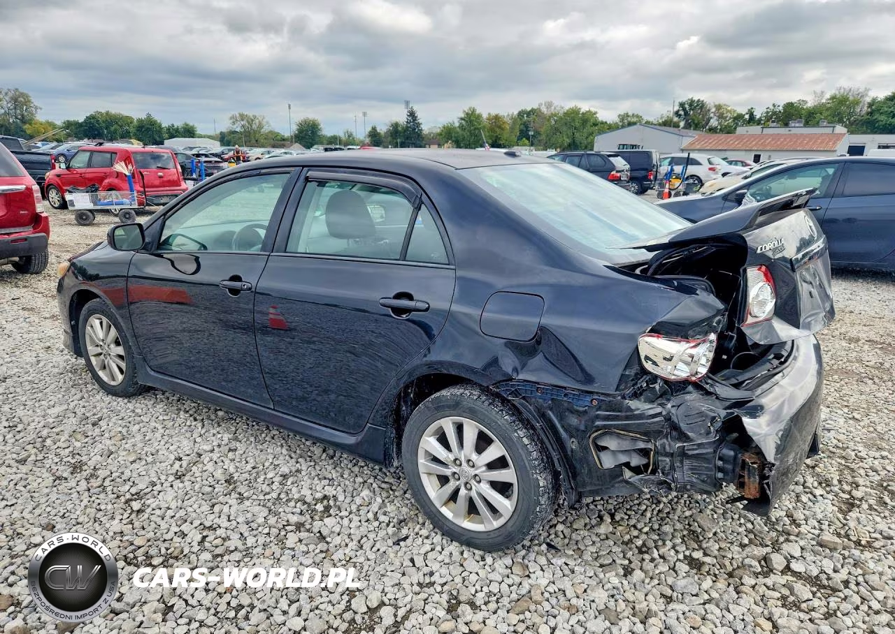 2010 Toyota Corolla S VIN:2T1BU4EE7AC261674 - 2