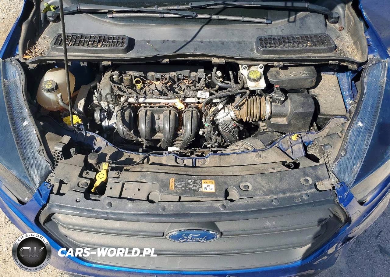 2019 Ford Escape S VIN:1FMCU0F79KUB21641 - 12