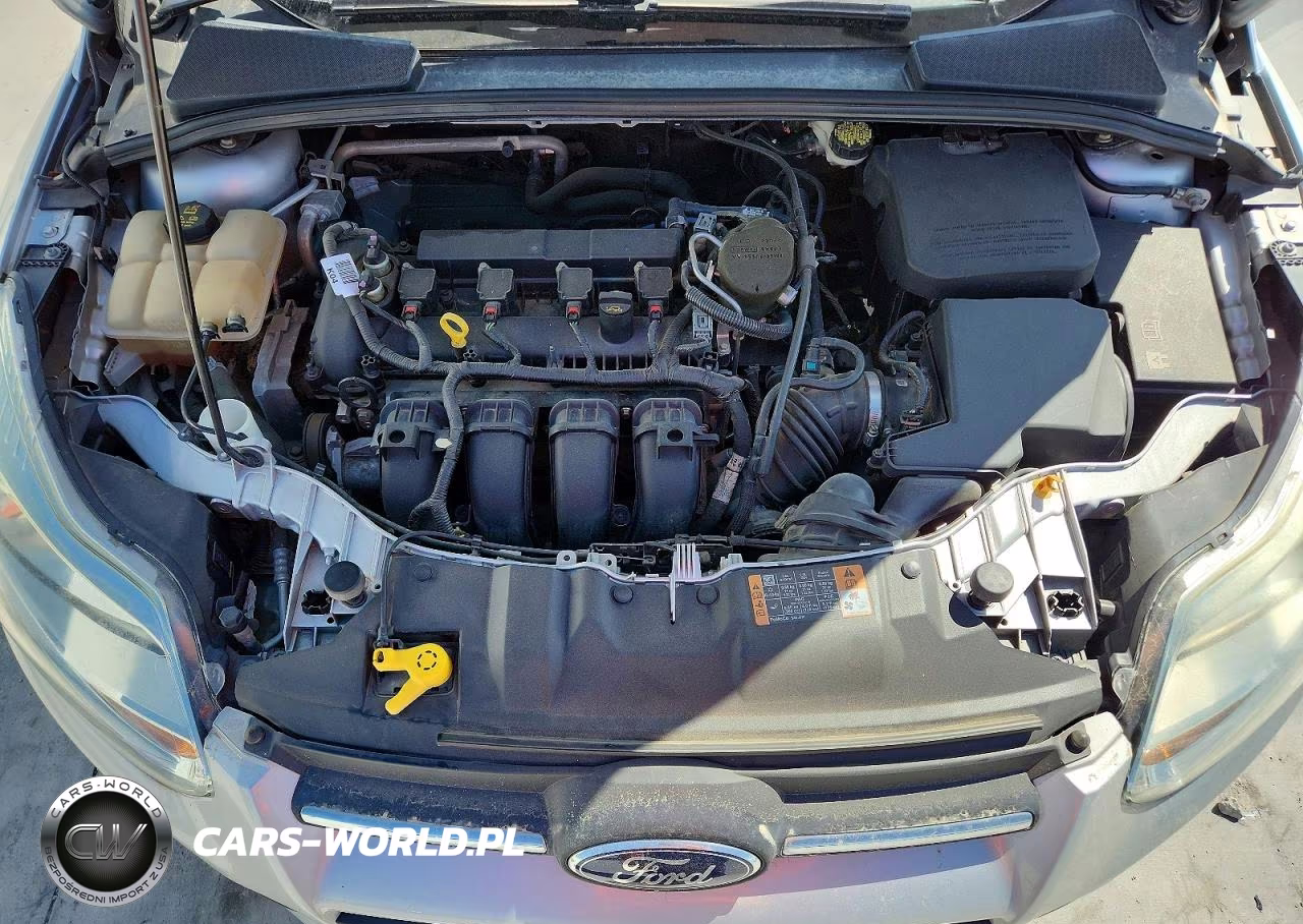 2014 Ford Focus Se VIN:1FADP3F22EL445617 - 11