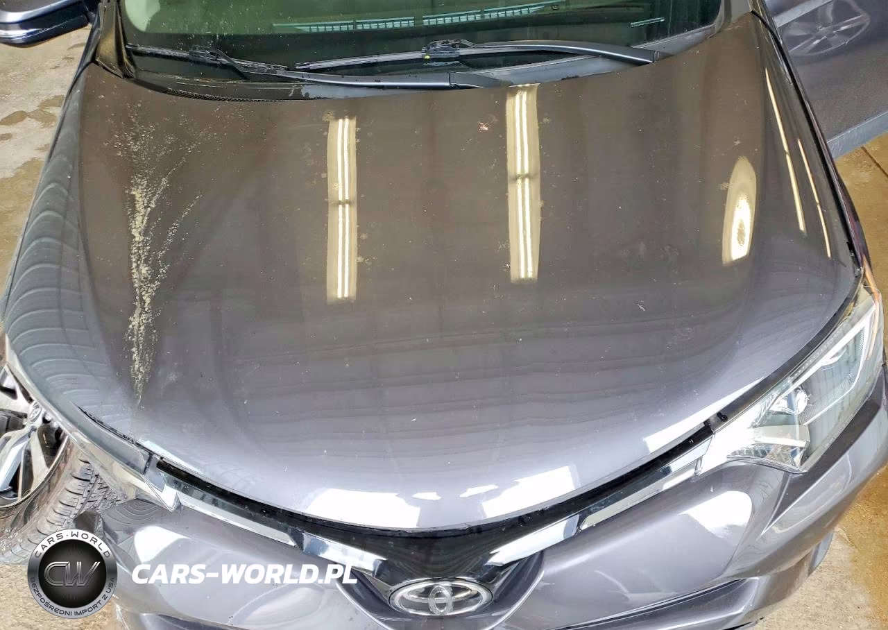 2017 Toyota Rav4 Xle VIN:2T3RFREVXHW677238 - 12