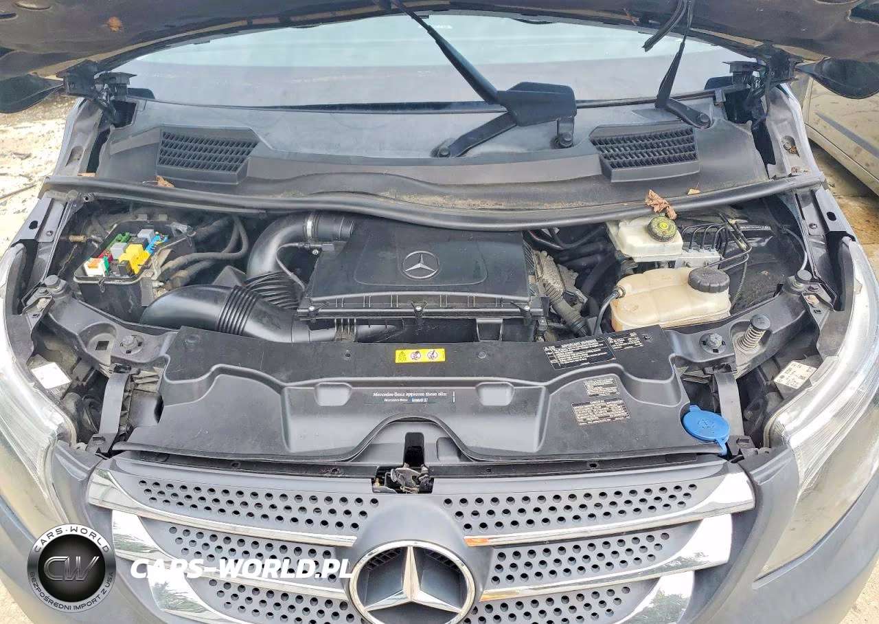 2019 Mercedes-Benz Metris VIN:WD4PG2EE2K3510822 - 12