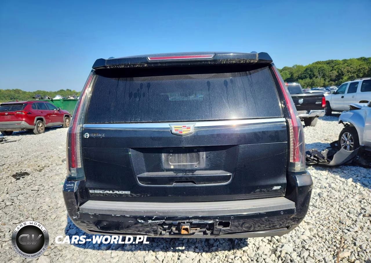 2015 Cadillac Escalade Esv Platinum VIN:1GYS3UKJ3FR700395 - 6