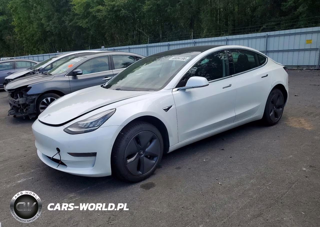 2020 Tesla Model 3 VIN:5YJ3E1EA6LF613459 - 1