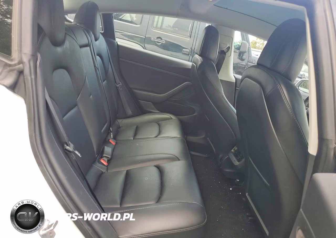 2020 Tesla Model 3 VIN:5YJ3E1EA6LF613459 - 10