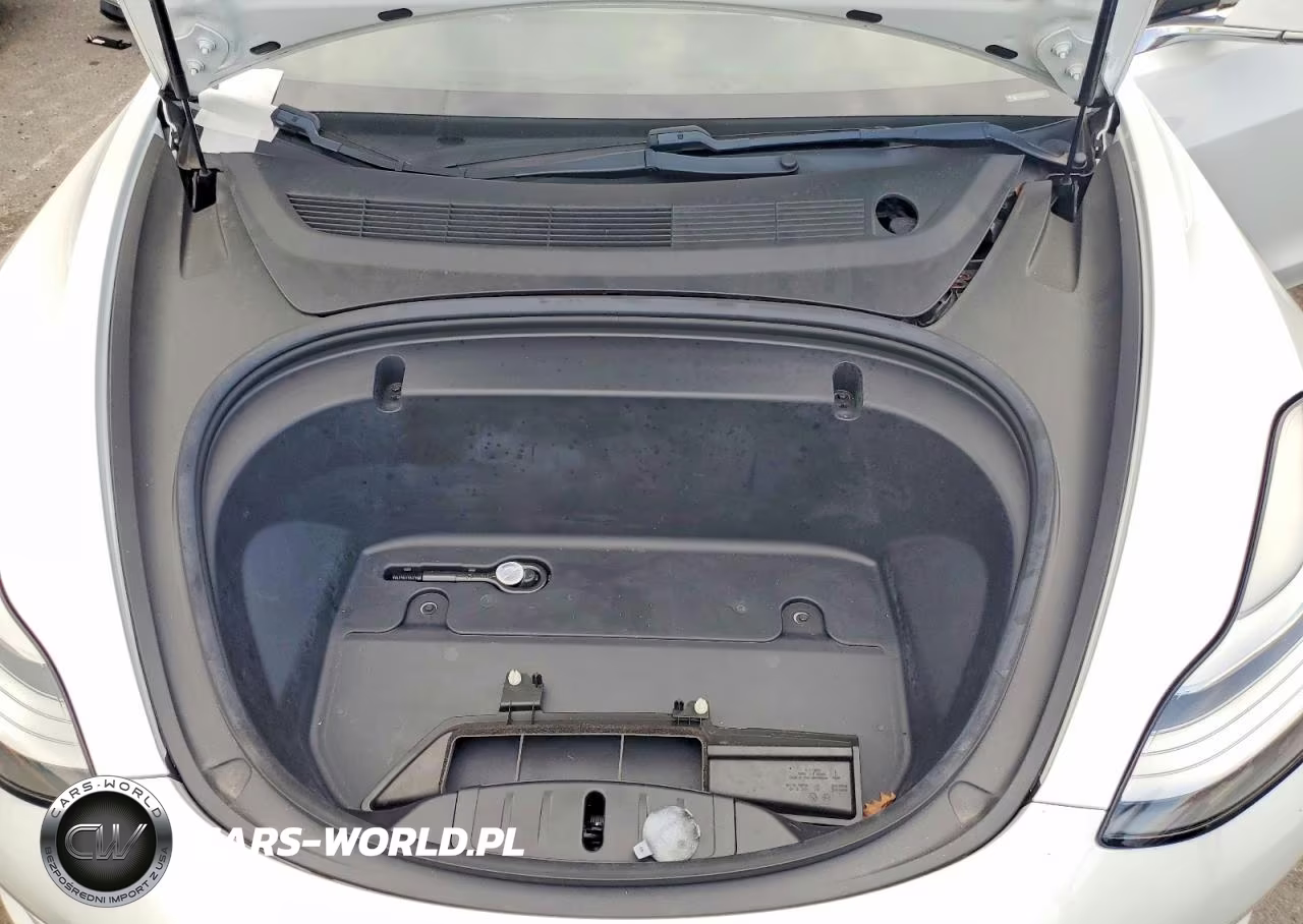 2020 Tesla Model 3 VIN:5YJ3E1EA6LF613459 - 11