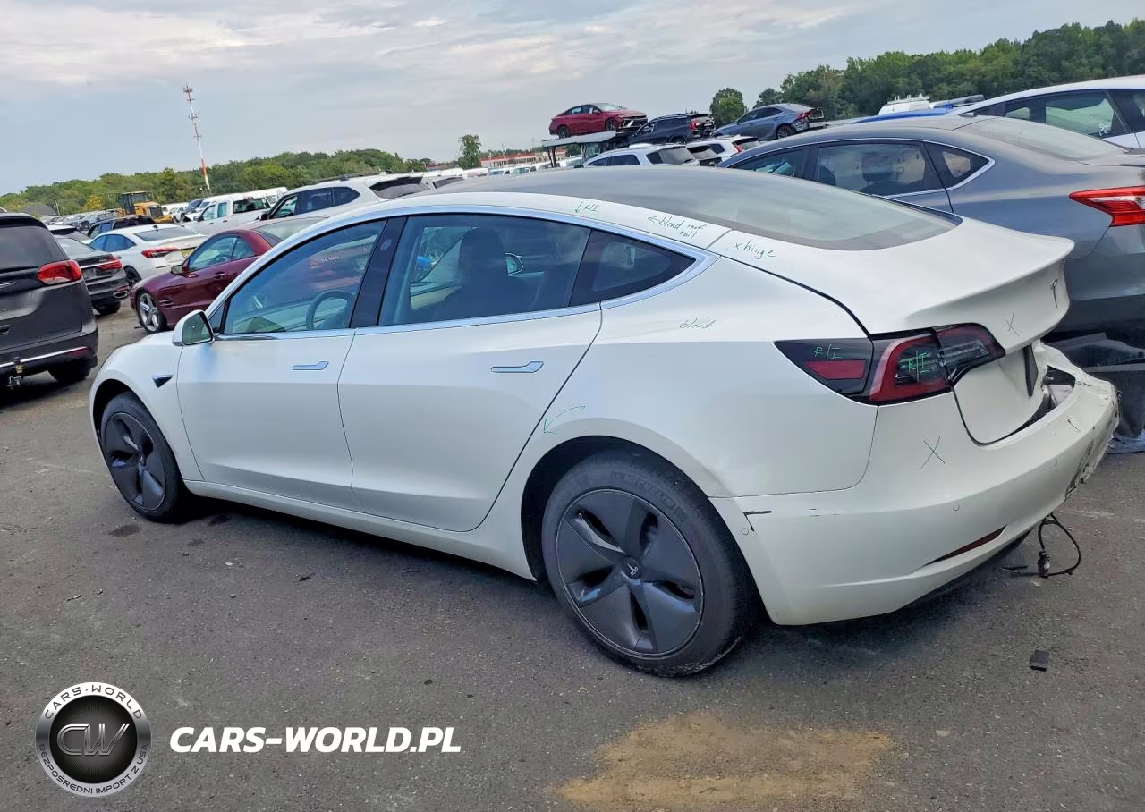 2020 Tesla Model 3 VIN:5YJ3E1EA6LF613459 - 2