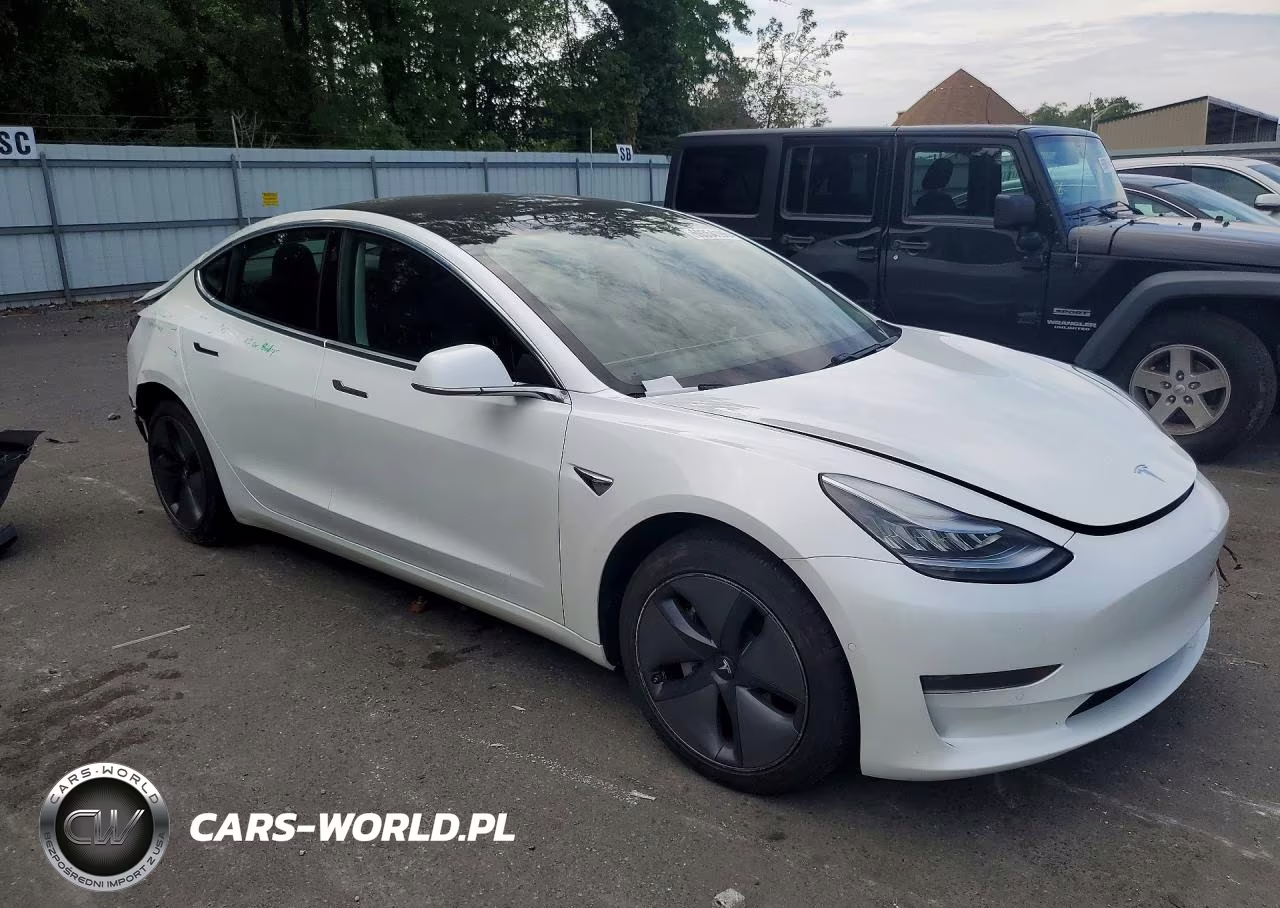 2020 Tesla Model 3 VIN:5YJ3E1EA6LF613459 - 4