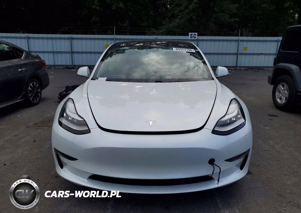 2020 Tesla Model 3 VIN:5YJ3E1EA6LF613459 - 5