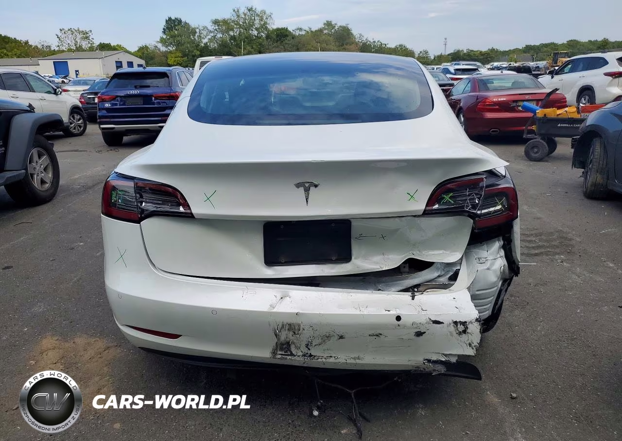 2020 Tesla Model 3 VIN:5YJ3E1EA6LF613459 - 6