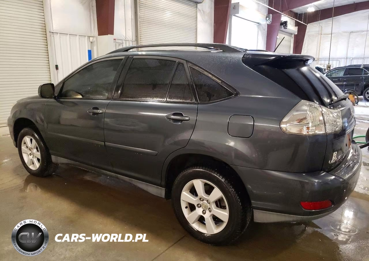 2004 Lexus Rx 330 VIN:2T2HA31U34C036291 - 2