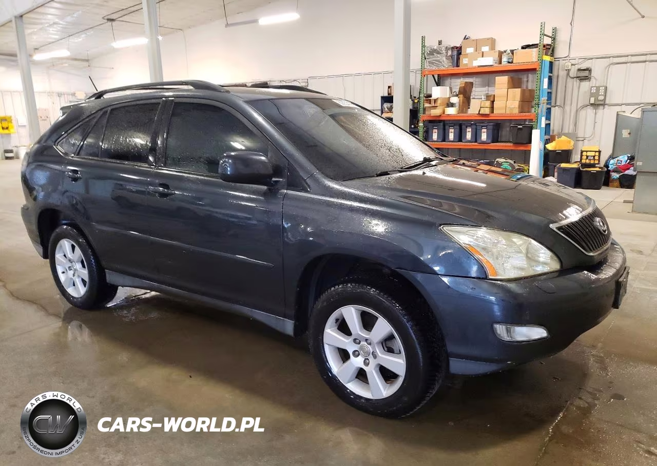 2004 Lexus Rx 330 VIN:2T2HA31U34C036291 - 4