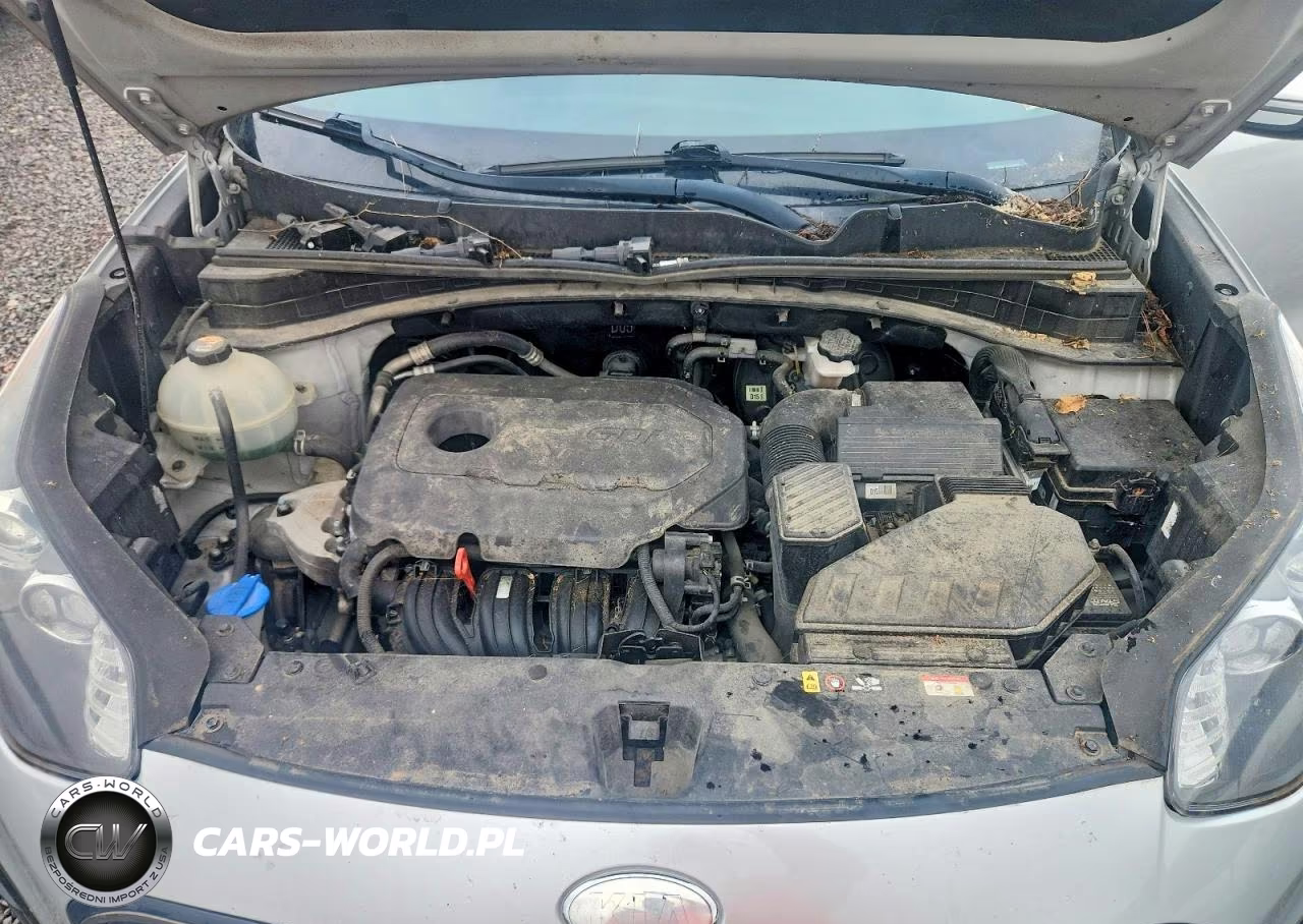 2020 Kia Sportage S VIN:KNDP6CAC3L7638813 - 12