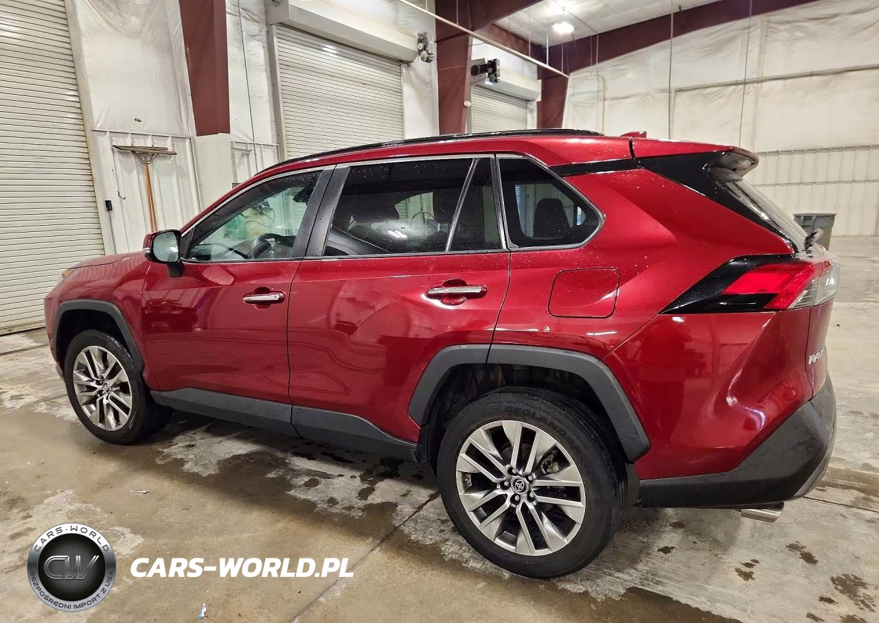 2019 Toyota Rav4 Limited VIN:2T3N1RFV5KW068335 - 2