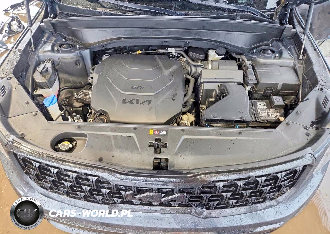 2023 Kia Telluride Sx-Prestige X-Pro VIN:5XYP5DGC6PG388850 - 12