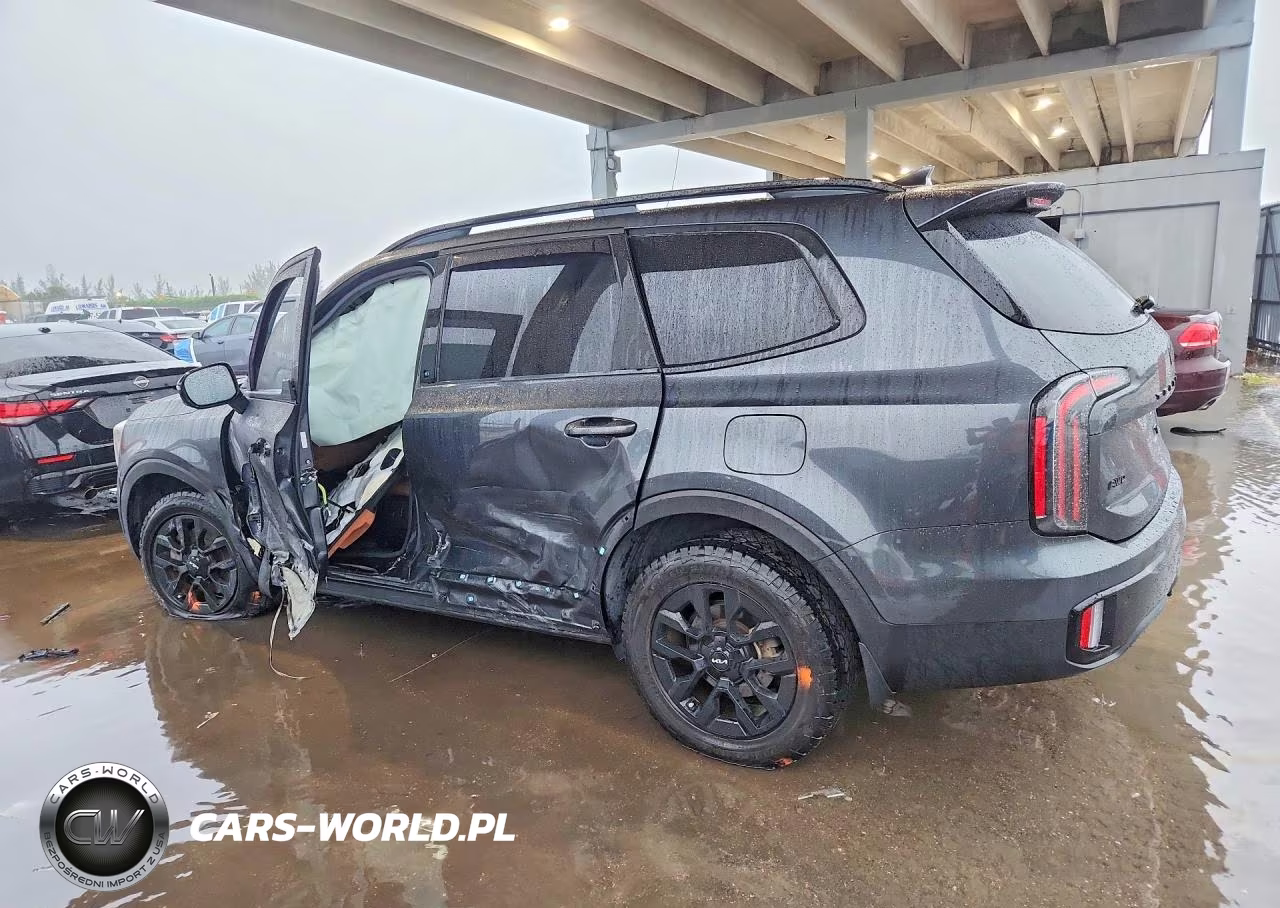 2023 Kia Telluride Sx-Prestige X-Pro VIN:5XYP5DGC6PG388850 - 2