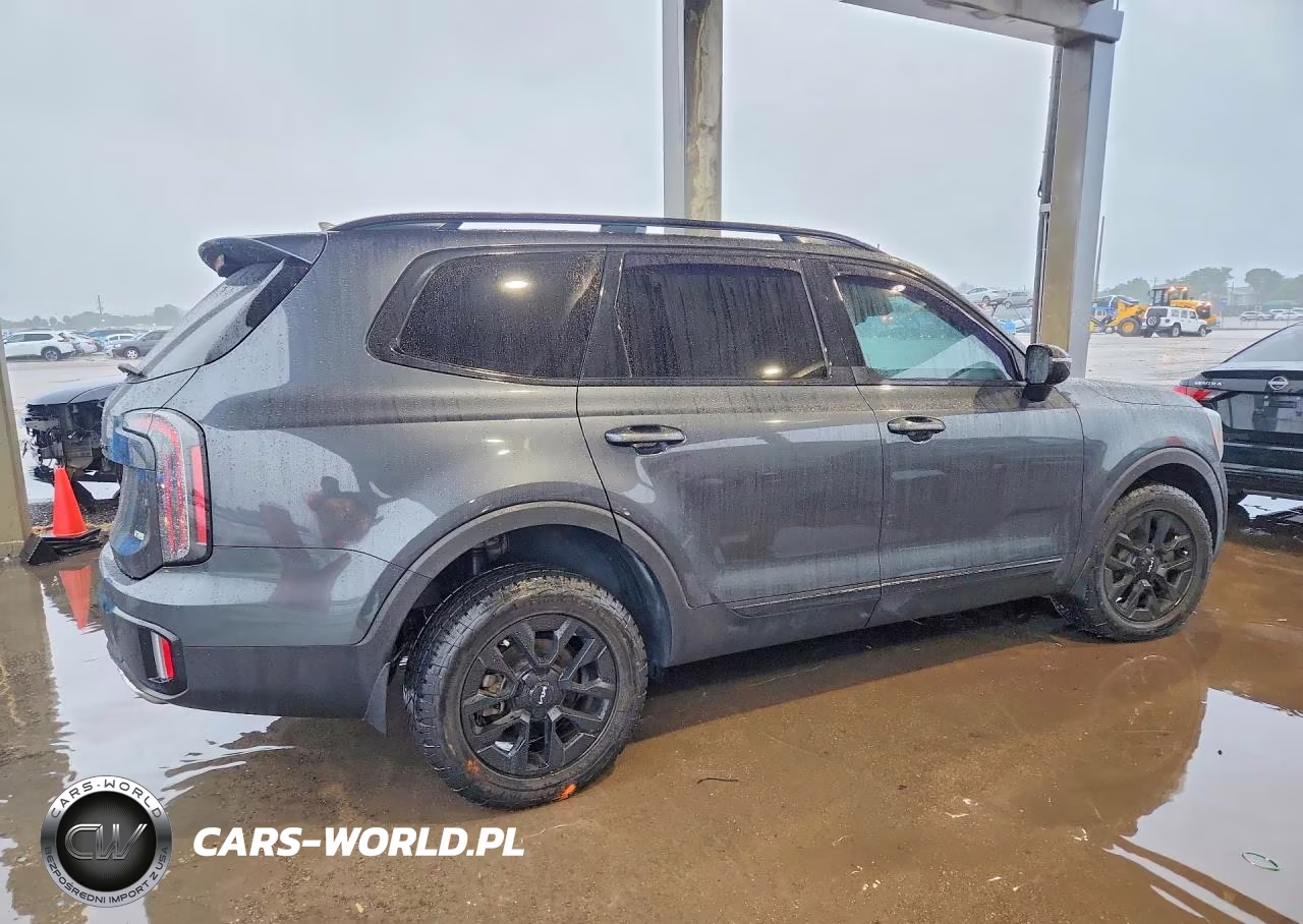 2023 Kia Telluride Sx-Prestige X-Pro VIN:5XYP5DGC6PG388850 - 3
