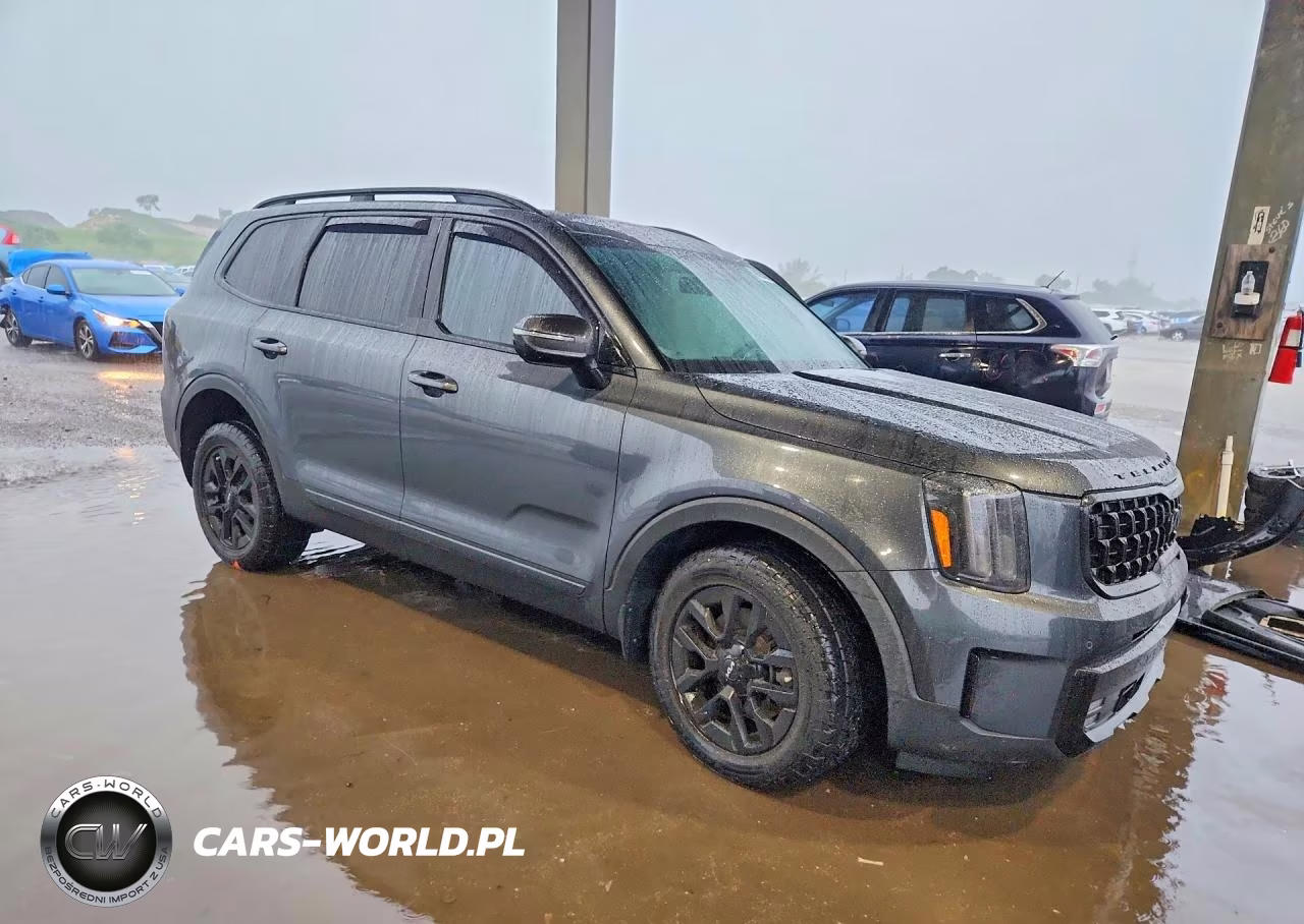 2023 Kia Telluride Sx-Prestige X-Pro VIN:5XYP5DGC6PG388850 - 4