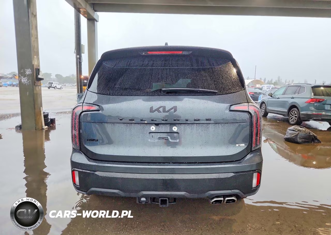2023 Kia Telluride Sx-Prestige X-Pro VIN:5XYP5DGC6PG388850 - 6