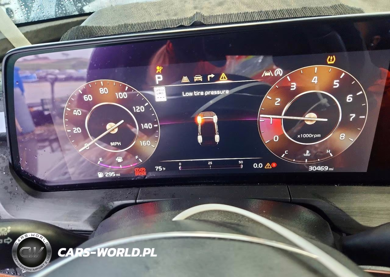 2023 Kia Telluride Sx-Prestige X-Pro VIN:5XYP5DGC6PG388850 - 9