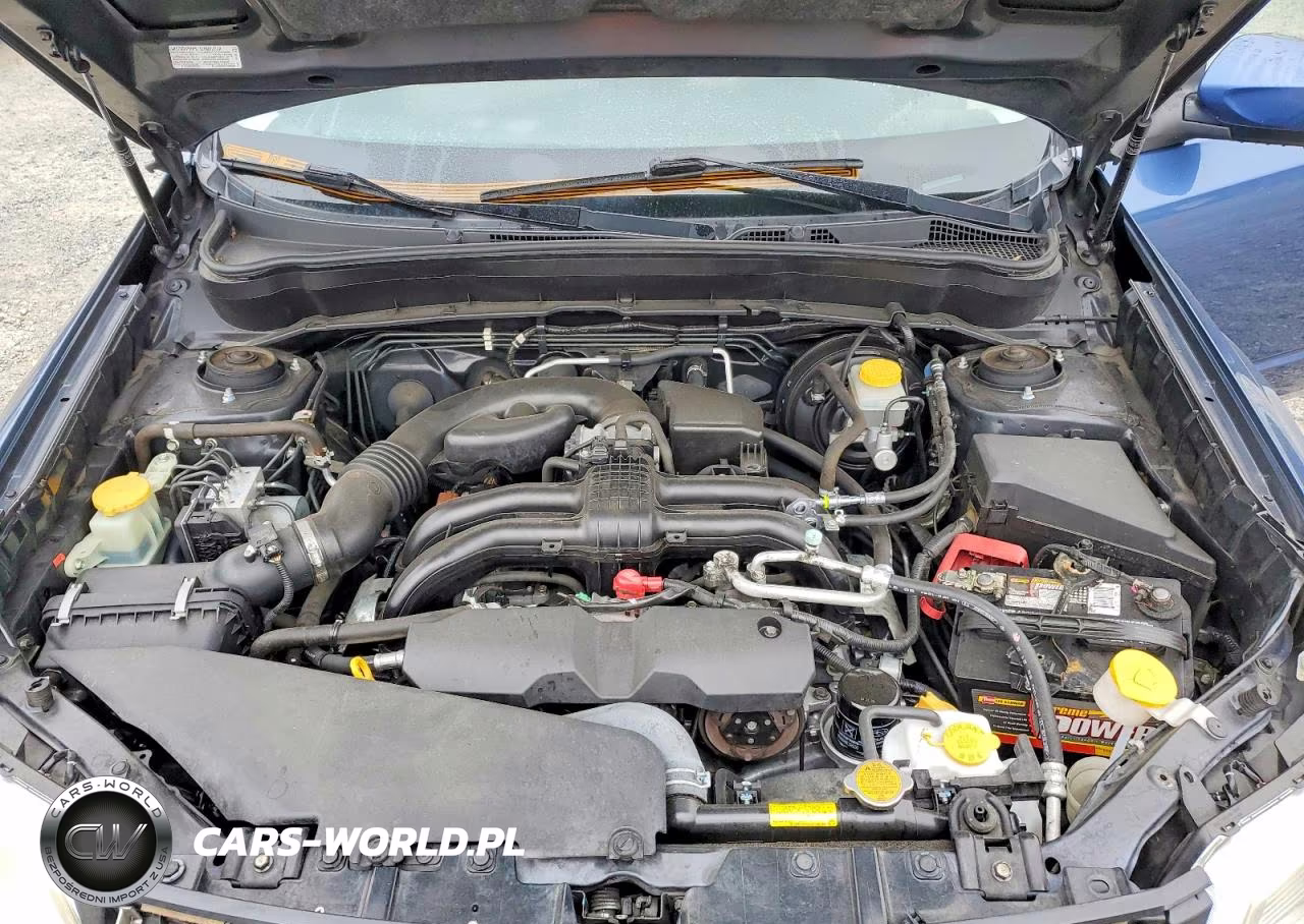 2013 Subaru Forester 2.5X Premium VIN:JF2SHADC2DH423506 - 12