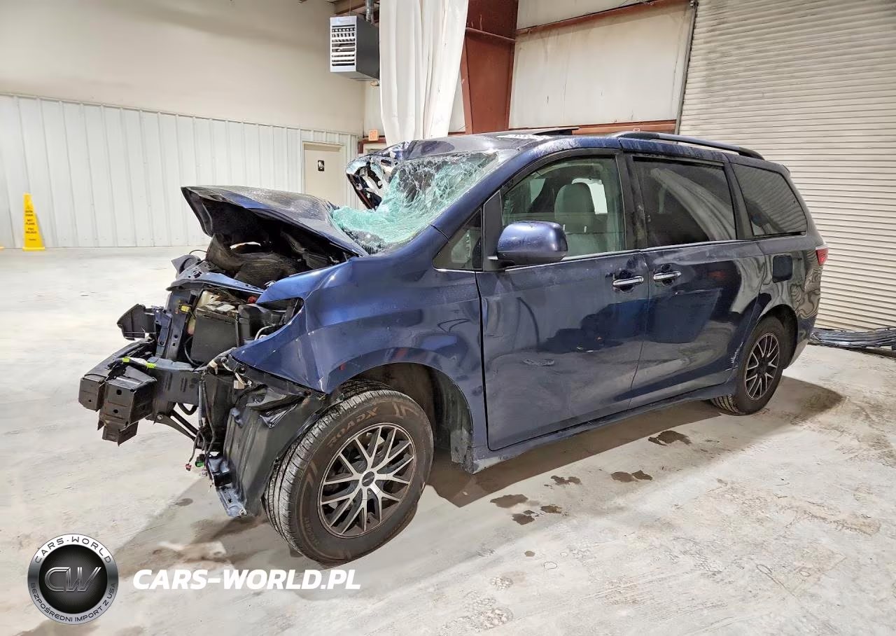 2019 Toyota Sienna Xle 8-Passenger VIN:5TDYZ3DC7KS981801 - 1
