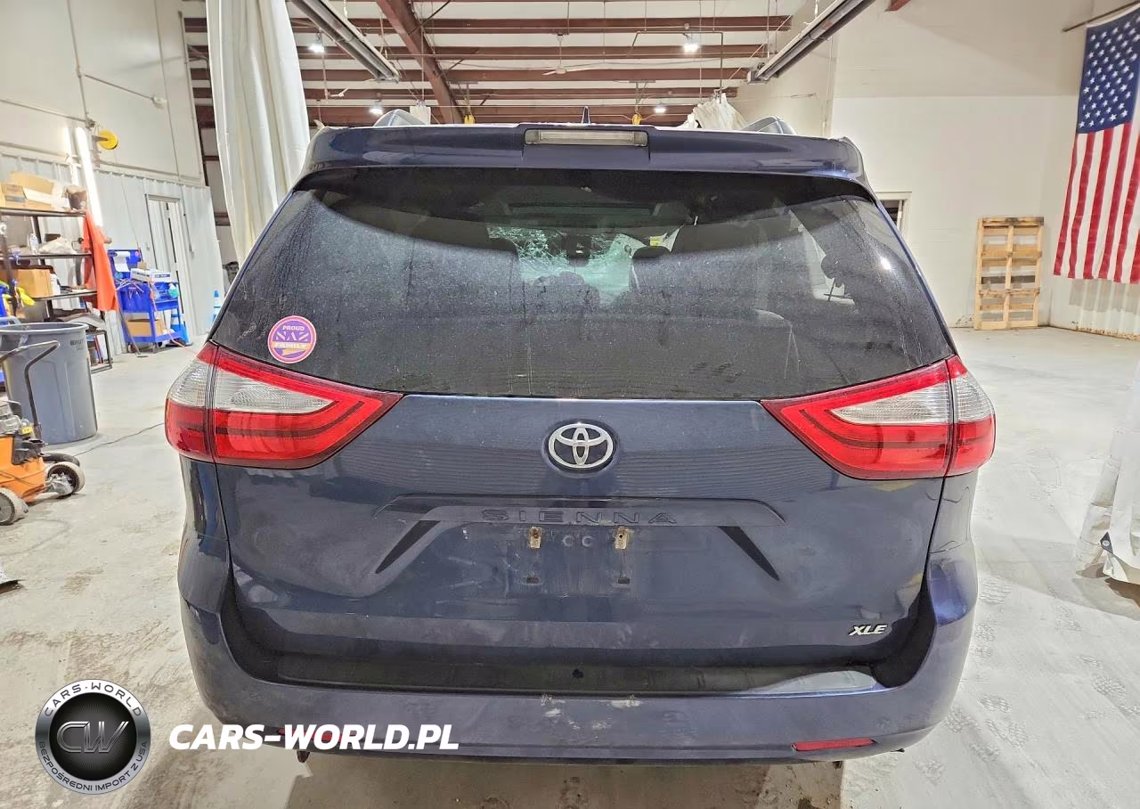 2019 Toyota Sienna Xle 8-Passenger VIN:5TDYZ3DC7KS981801 - 6
