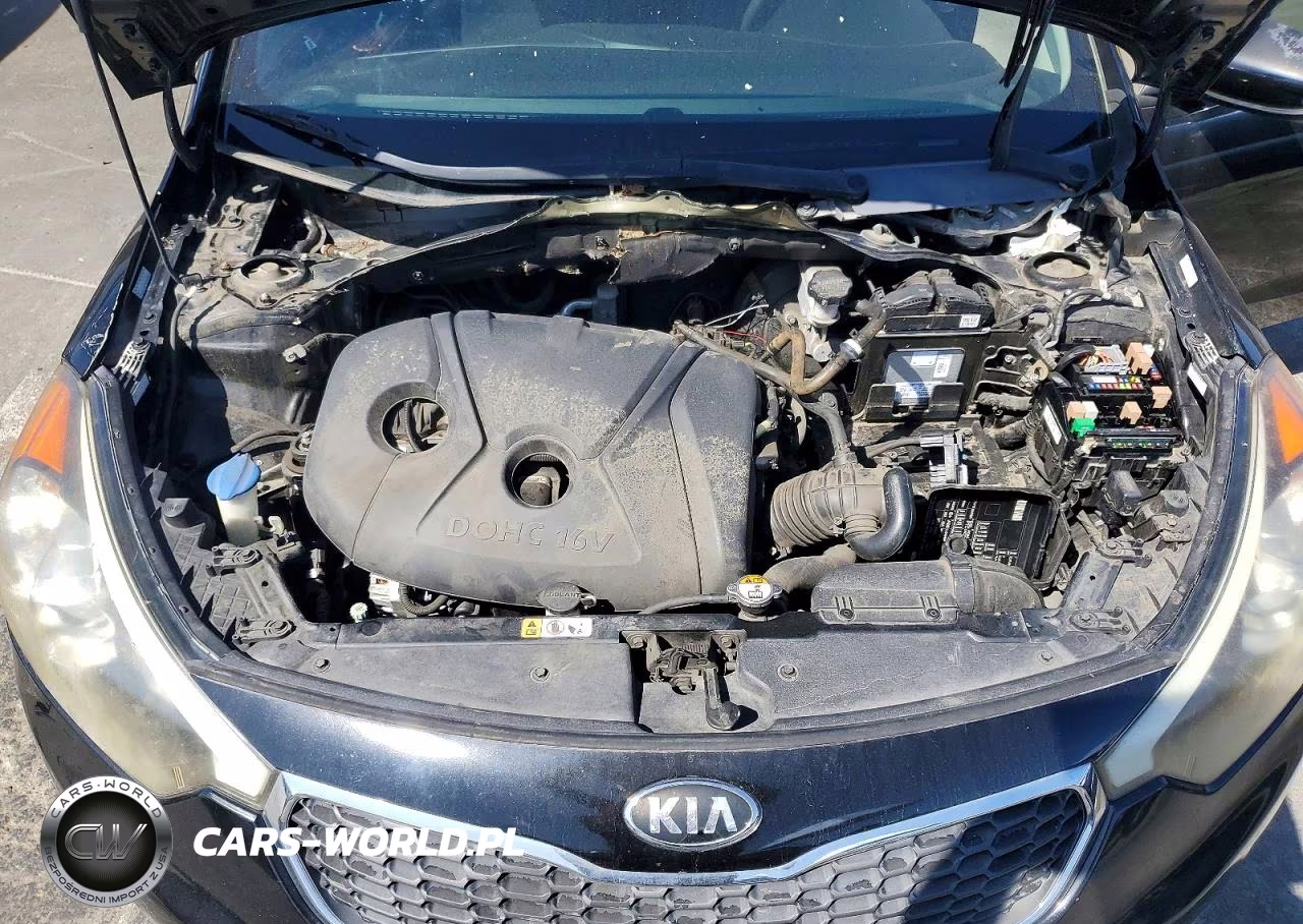2016 Kia Forte Lx VIN:KNAFK4A60G5619285 - 11
