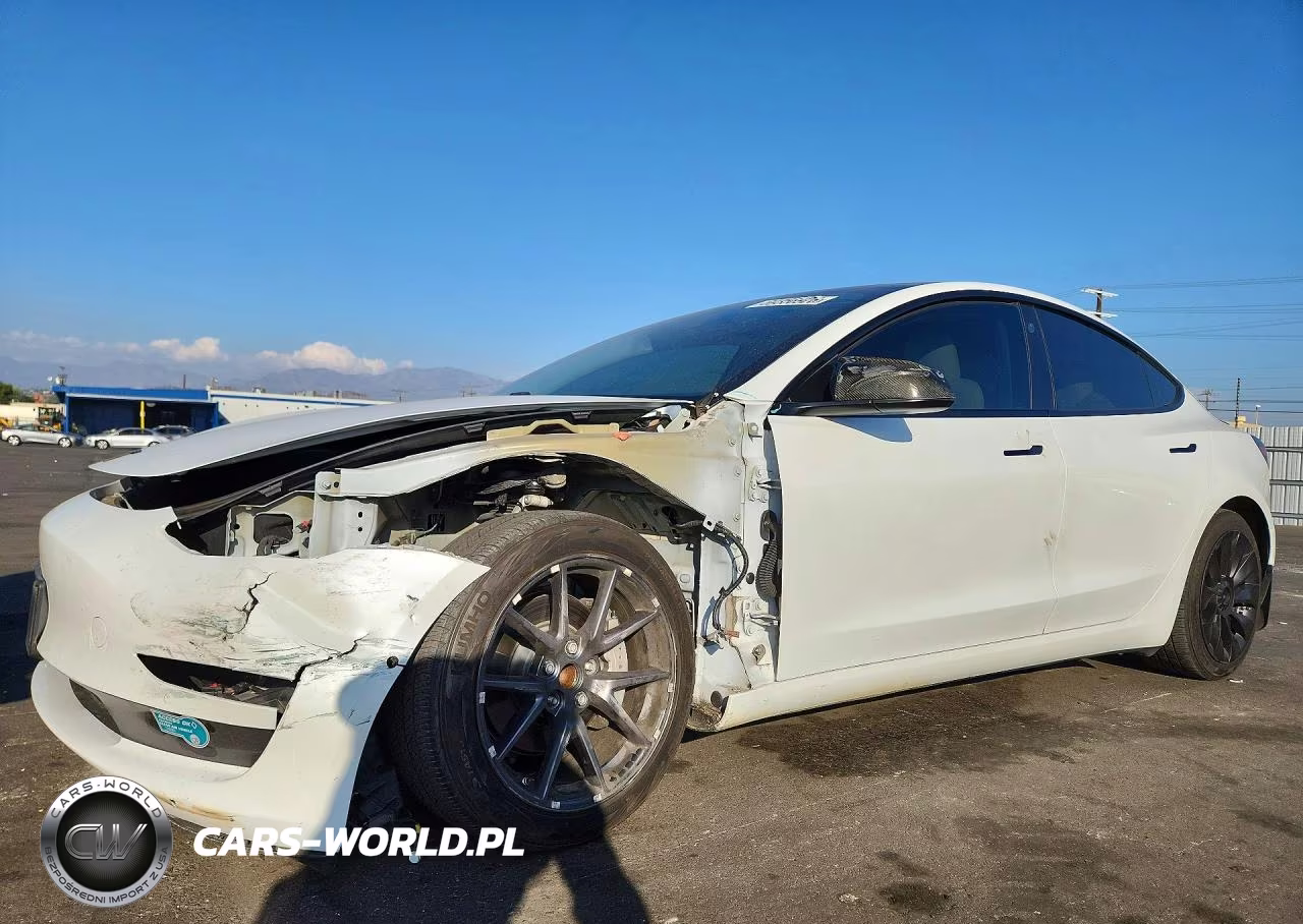 2021 Tesla Model 3 VIN:5YJ3E1EA6MF873202 - 1