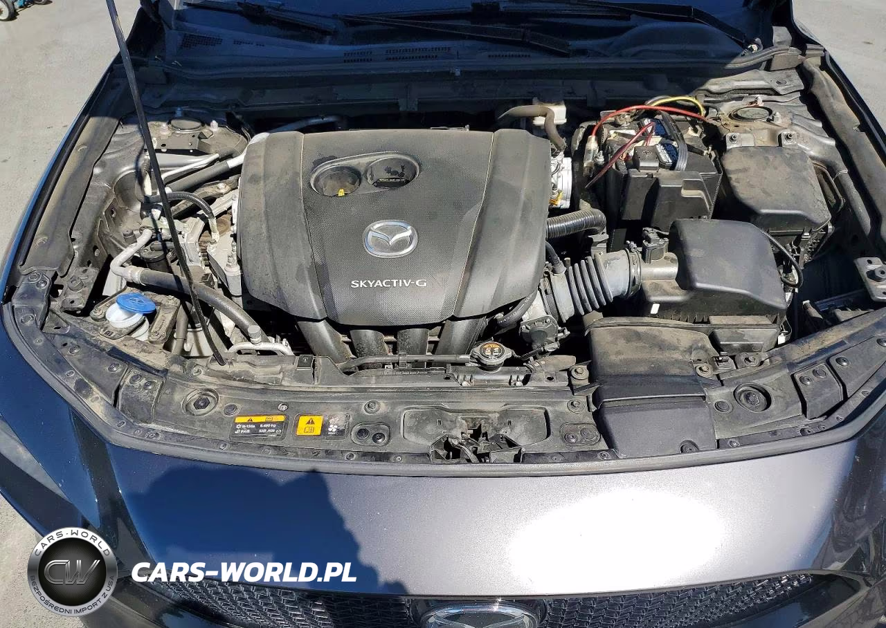 2019 Mazda 3 VIN:JM1BPAMM3K1135753 - 11
