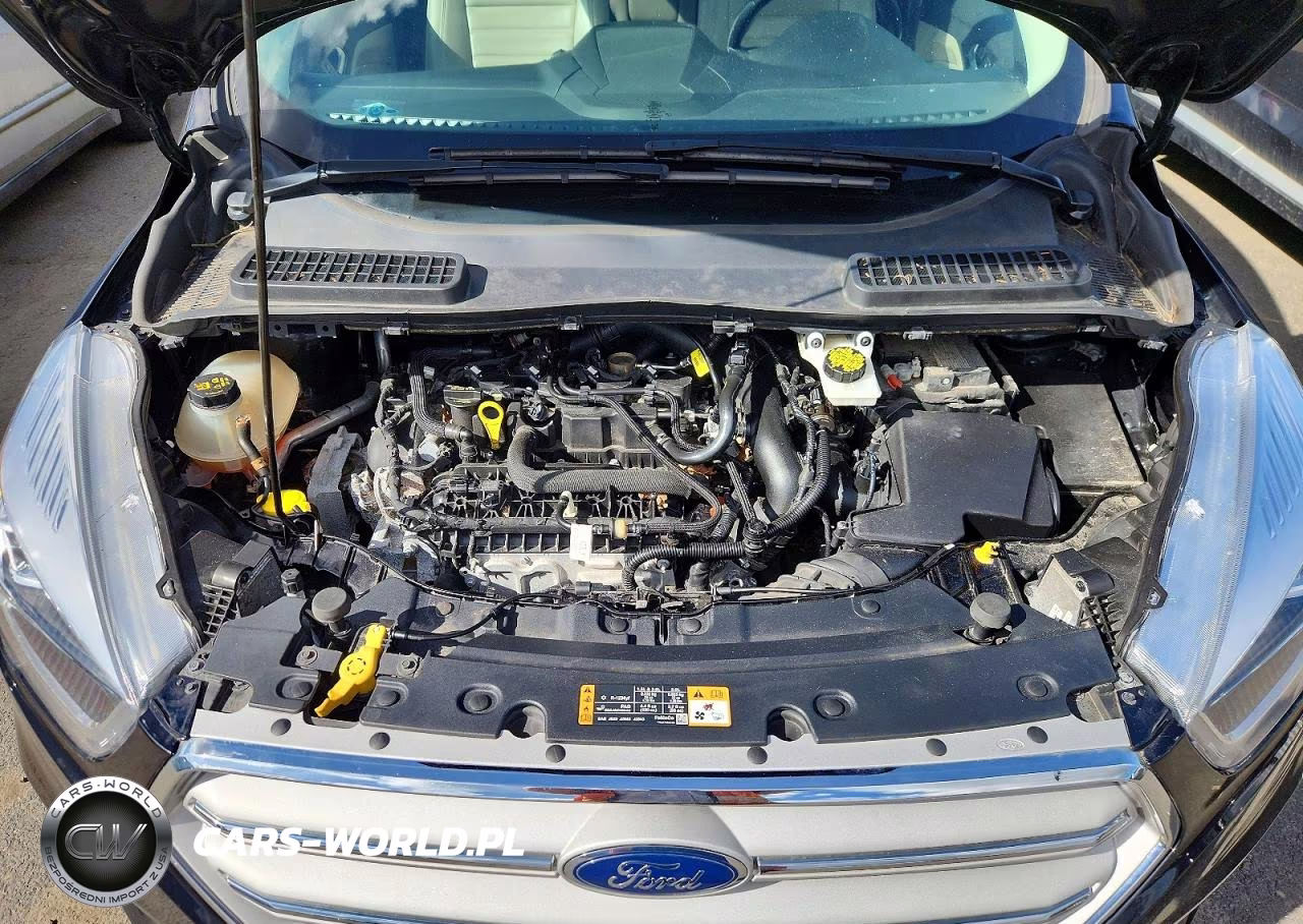 2019 Ford Escape Sel VIN:1FMCU9HD3KUA57927 - 12