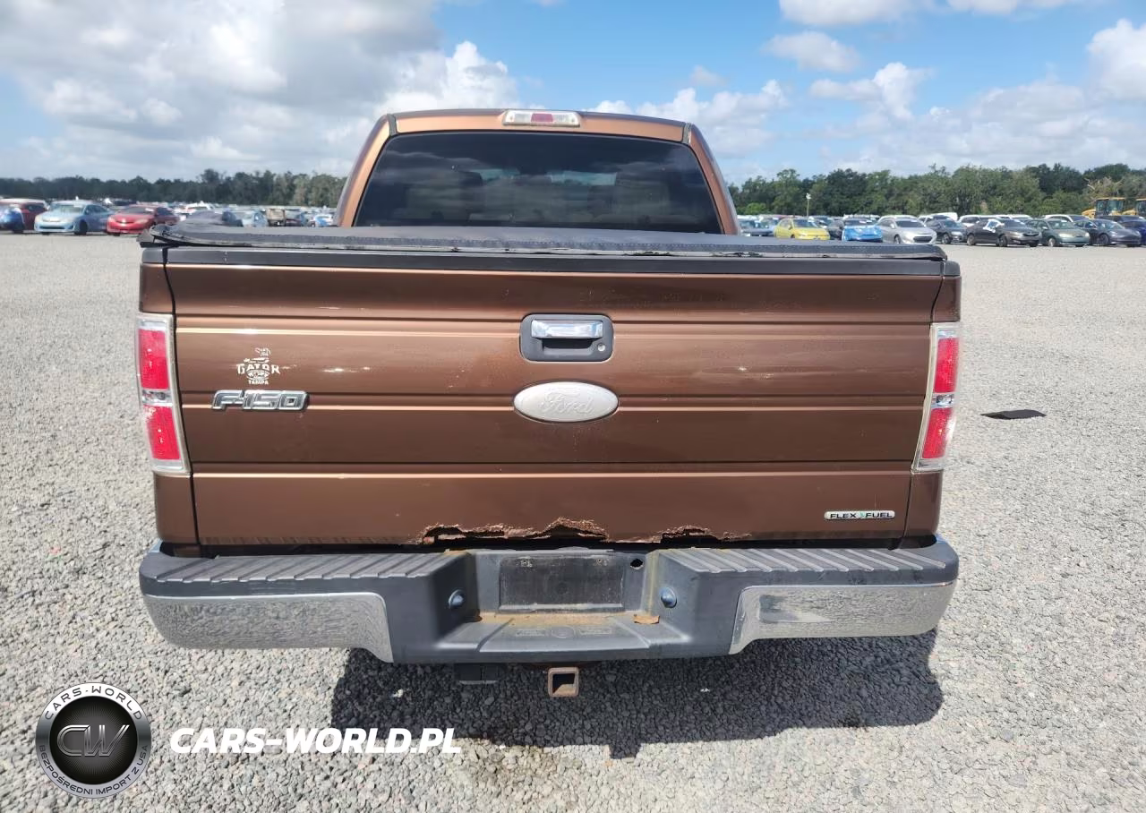 2012 Ford F150 Supercrew VIN:1FTEW1CM9CFB33026 - 6