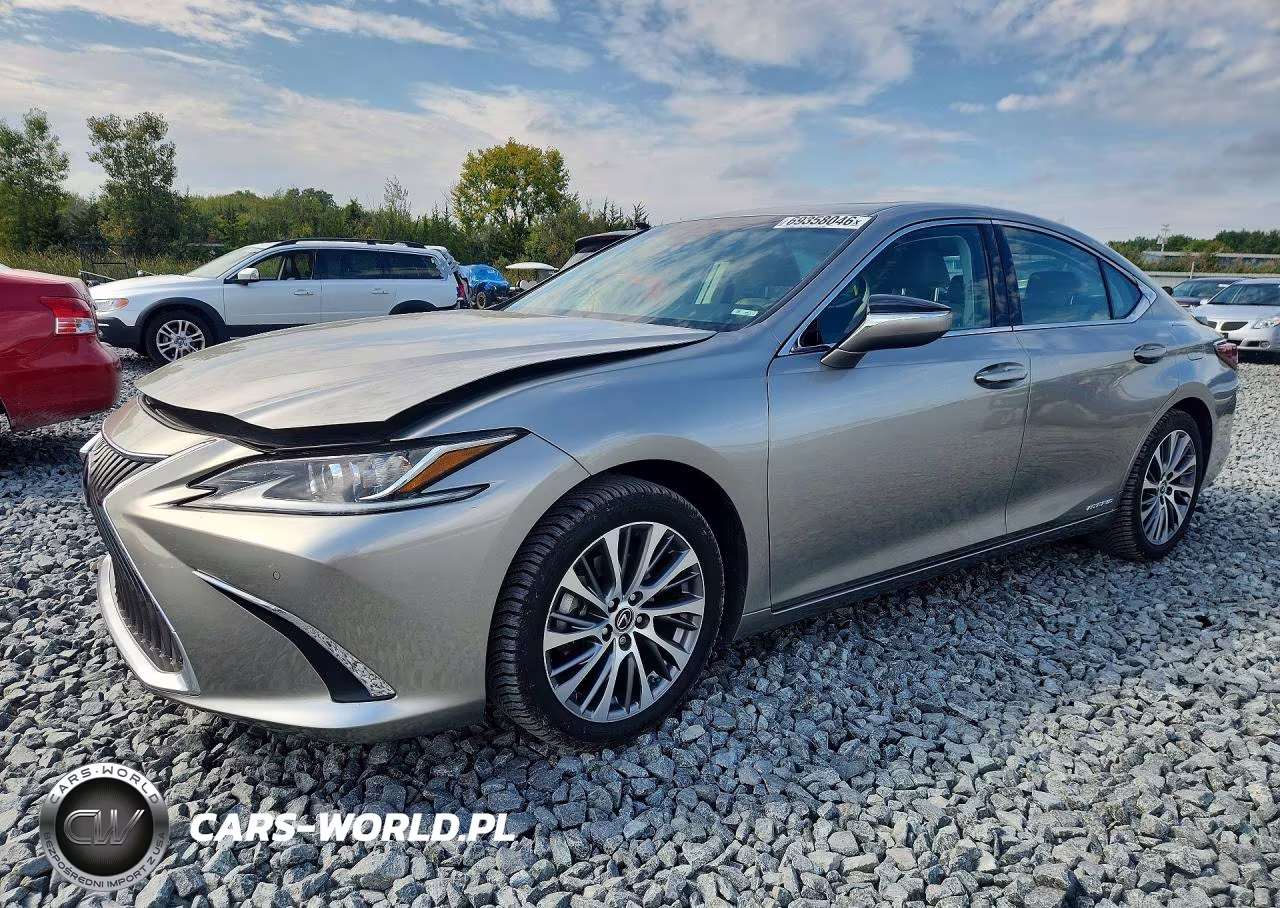 2020 Lexus Es 300H VIN:58AD21B16LU006667 - 1