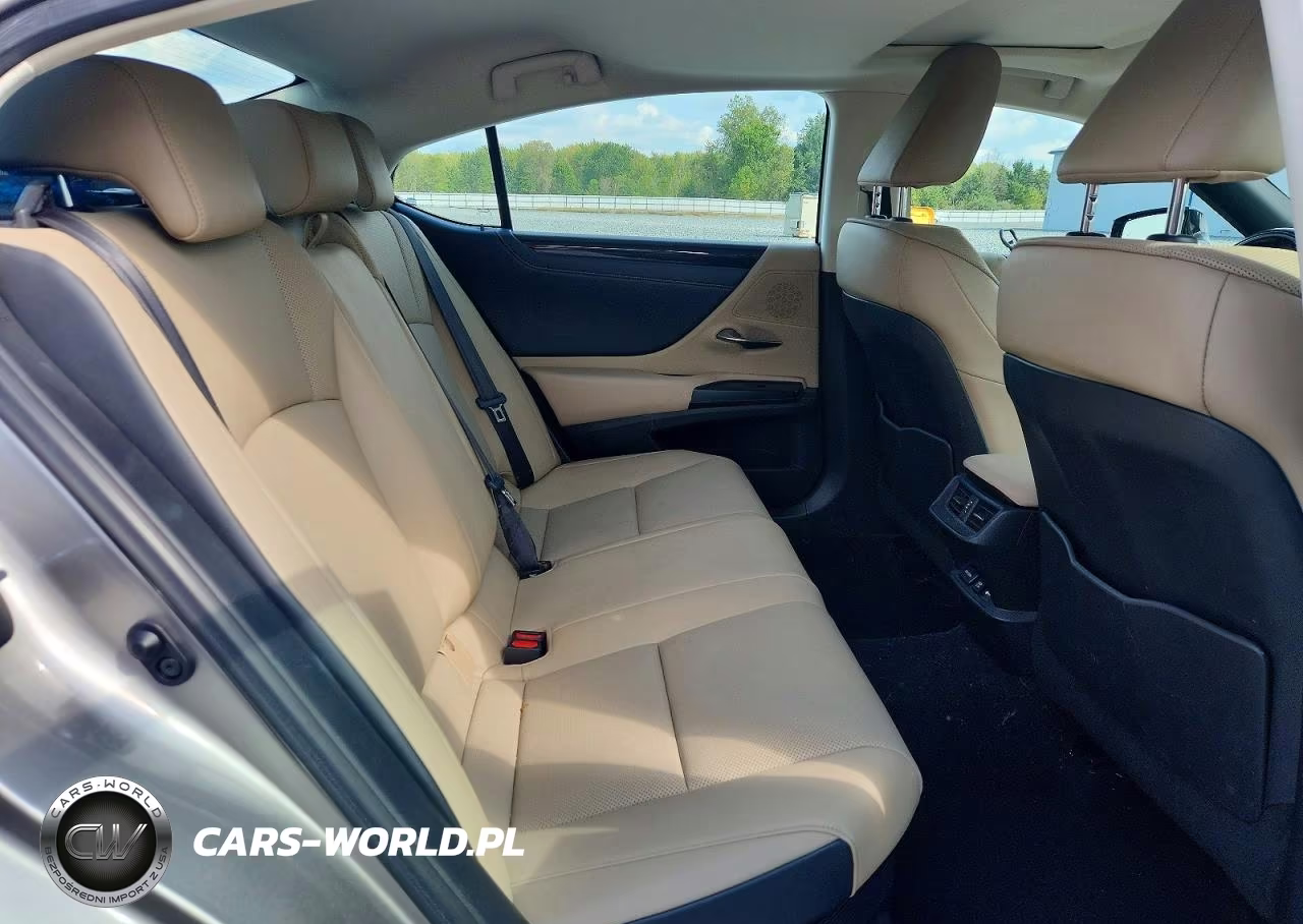 2020 Lexus Es 300H VIN:58AD21B16LU006667 - 10