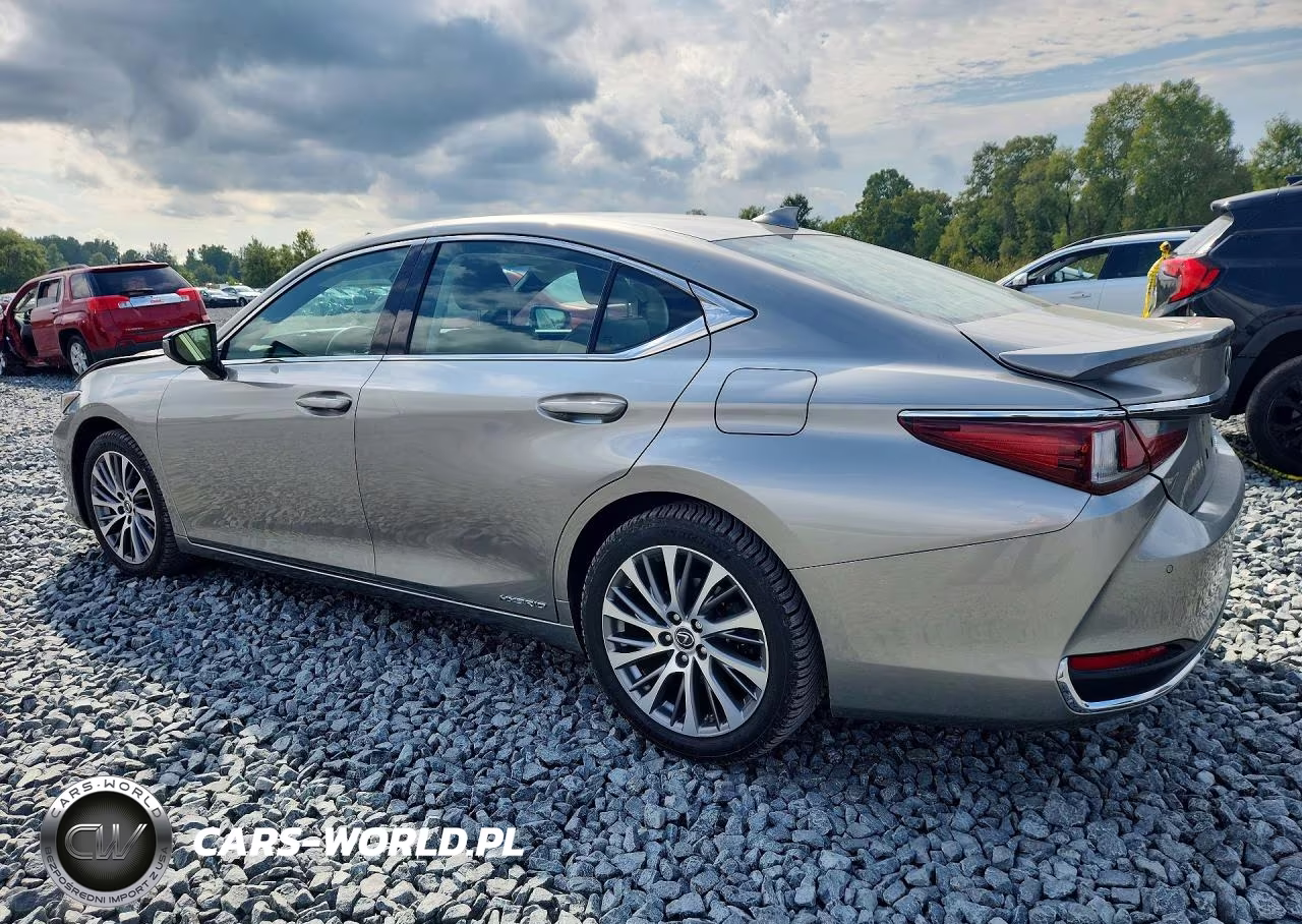 2020 Lexus Es 300H VIN:58AD21B16LU006667 - 2